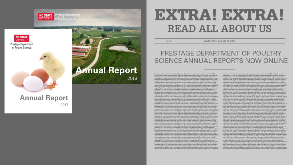 header image announcing annual reports online