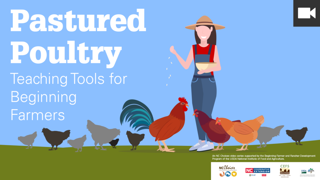 Pastured Poultry series featured graphic