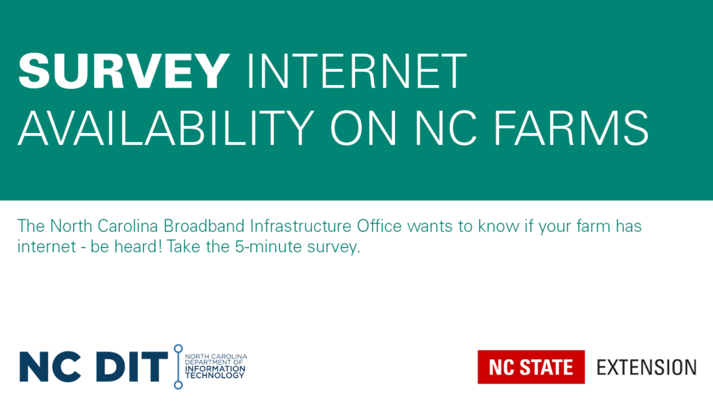 teal and white graphic announcing the NC DIT survey