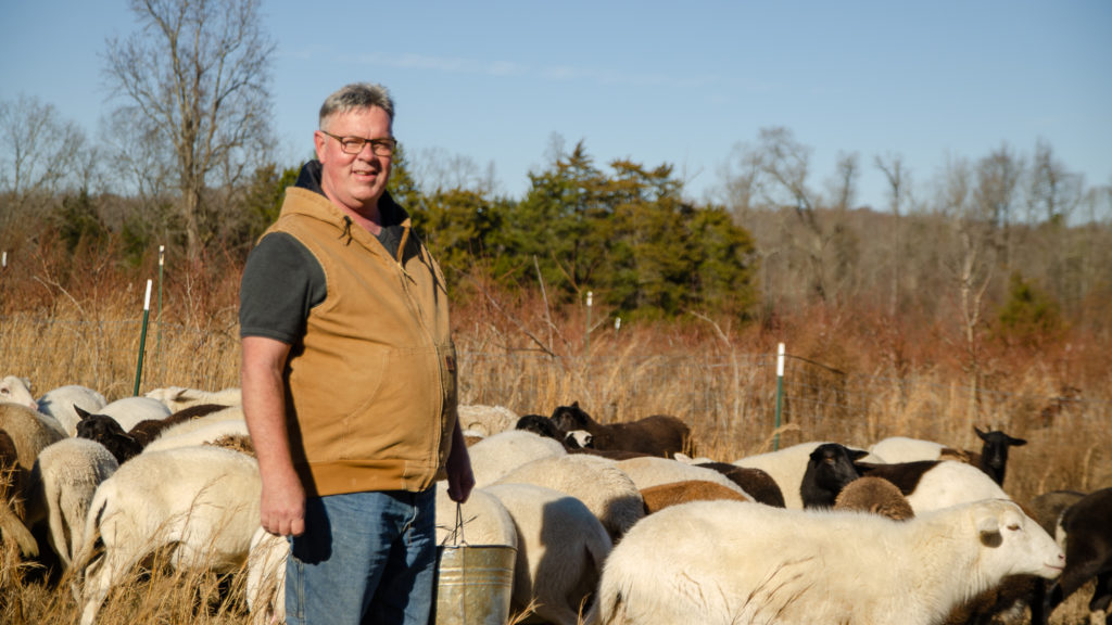 Dan Campeau with his flock of sheep