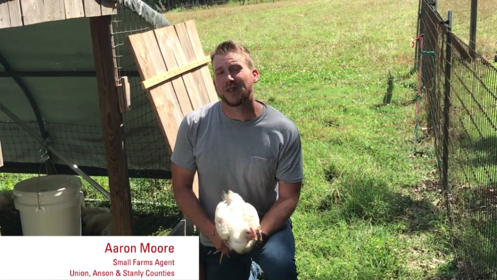 Still shot of Aaron Moore in a Pastured Poultry video