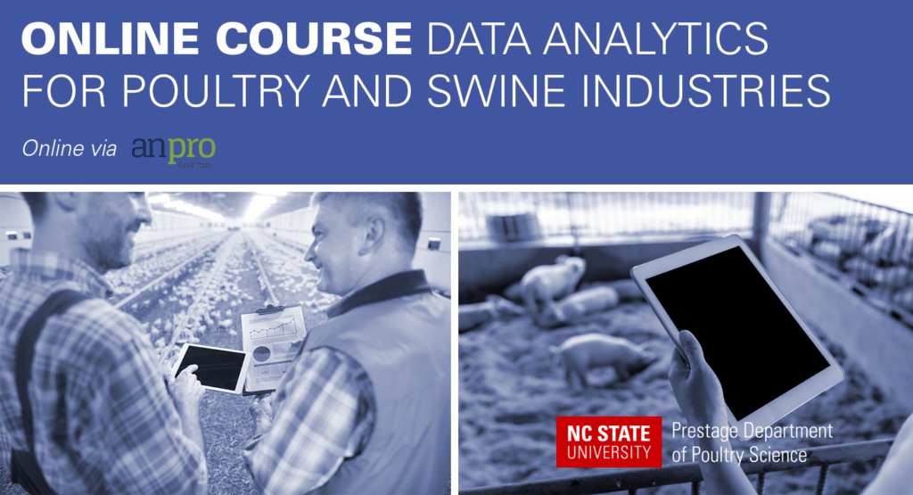 blue overlay with text Online Course Data Analytics For Poultry and Swine Industries and anprocampus and NC State logos