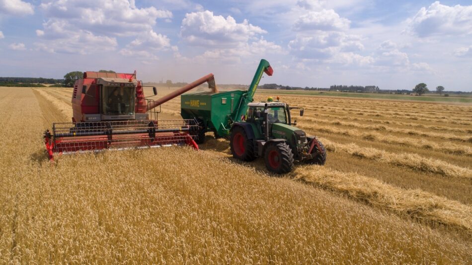 grain harvester